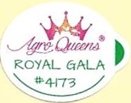 Agro queens royal gala #4173