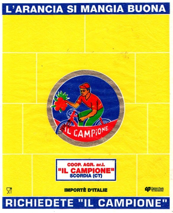 Il campione l arancia si mangia buona scordia importe d italie