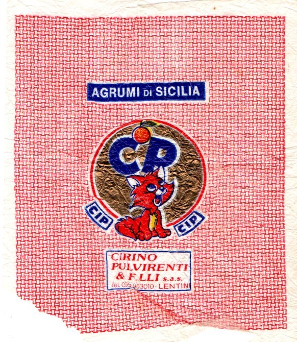 cp agrumi di sicilia cip cirino pulvirenti
