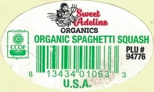 Sweet Adeline Organics organic spaghetti squash plu #94776 81344010633 u.s.a.