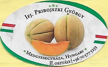 Ifj. pribojszki gyorgy medgyesegyhaza hungary