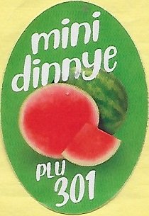 Mini dinnye plu 301