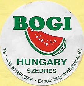 Bogi hungary szedres