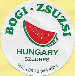 Bogi-zsuzsi hungary szedres
