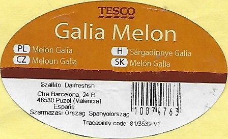 Tesco galia melon espana 10074763