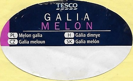 Tesco galia melon