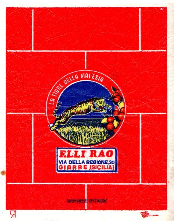 La tigre della malesia f.lli rao via della regione 30 giarre sicilia importe d italie