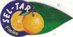 Sel-Tar finike
