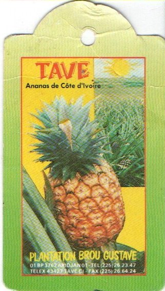 tave ananas de cote d ivoire plantation brou gustave