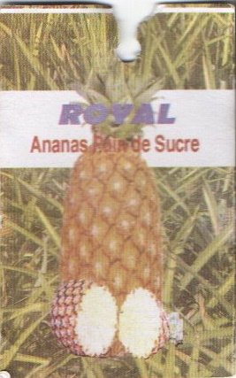 royal ananas pain de sucre origine benin ananas royal 3701385110410