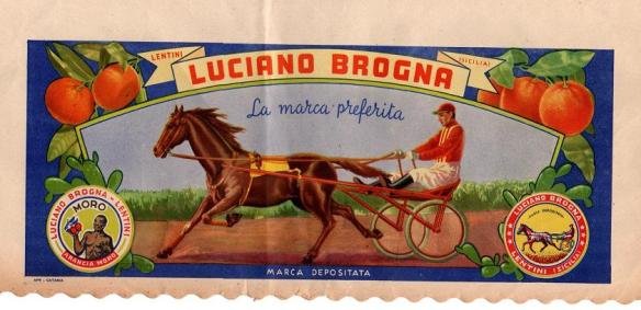 luciano brogna lentini sicilia