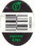 F mexico chayote 4761