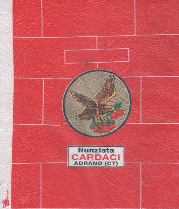 Cardaci nunziata adrano