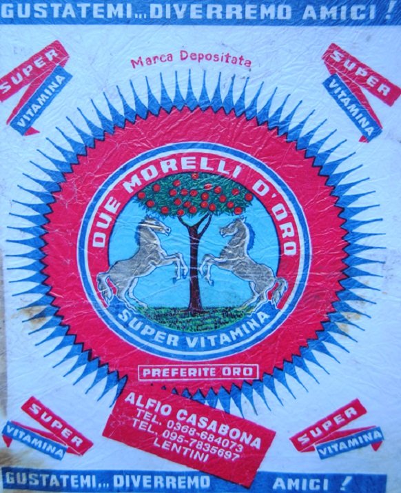 Due morelli d oro super vitamina alfio casabona lentini gustatemi diverremo amici