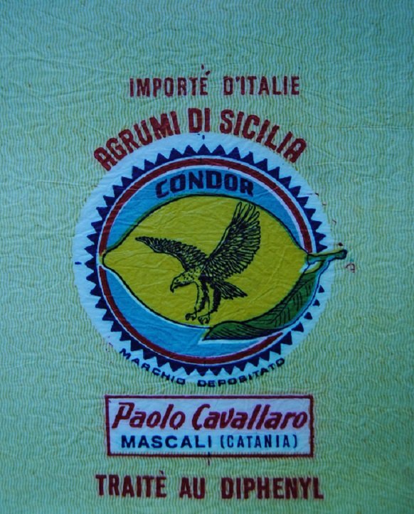 Condor agrumi di sicilia importe d italie paolo cavallaro mascali catania traite au diphenyl