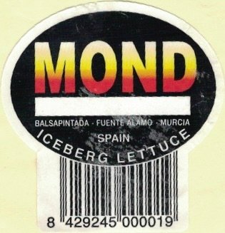 Mond balsapintada fuente alamo murcia spain iceberg lettuce 8429245000019