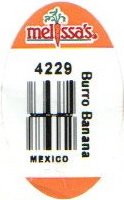 melissa s 4229 burro banana mexico