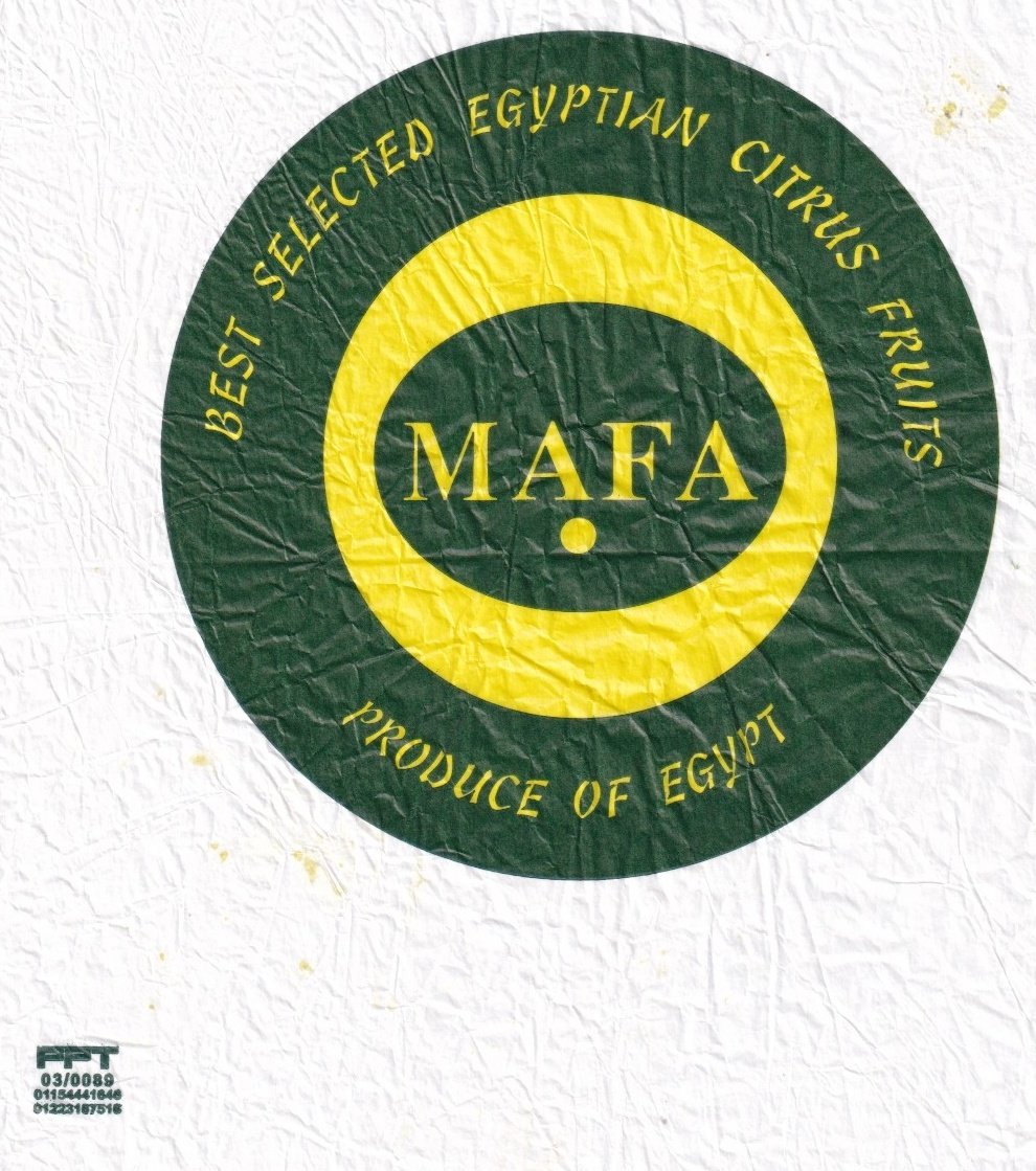 Mafa best selected egyptian citrus fruits produce of egypt