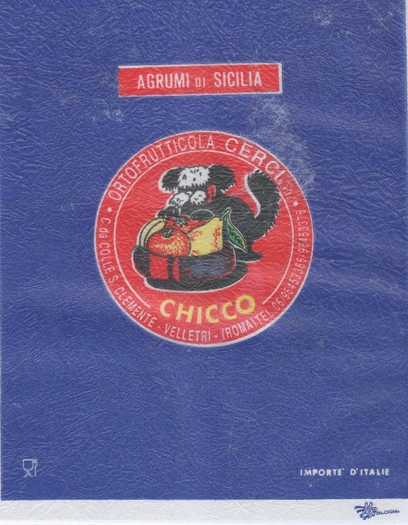 Chicco ortofrutticola cerci clemente roma agrumi di sicilia importe d italie