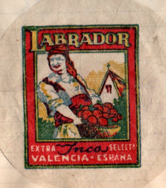 labrador extra inca selecta valencia espana