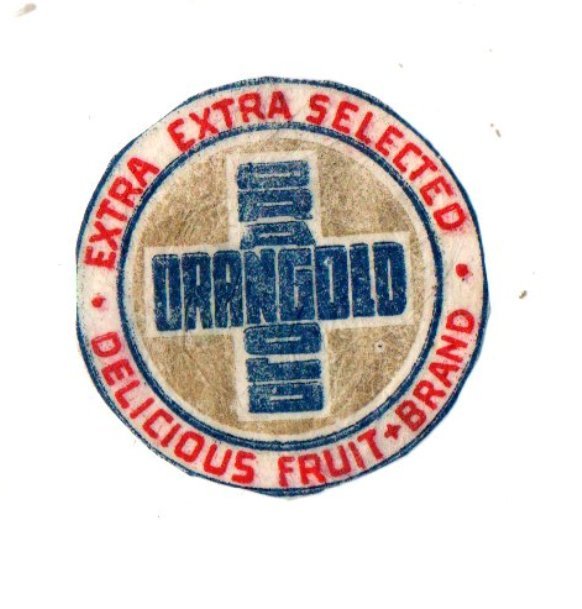 Orangold extra extra selected delicious fruit brand