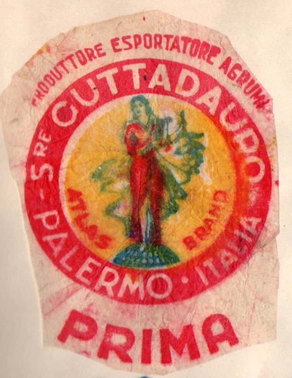 Atlas brand produttore esportatore agrumi sre guttadauro palermo italia prima