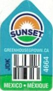 Sunset greenhousegrown.ca jdk 4664 mexico mexique