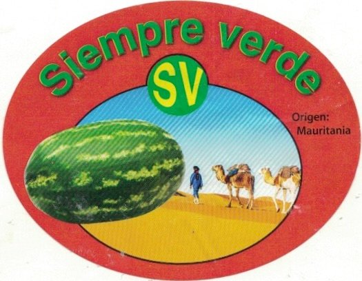 Siempre Verde sv origen: mauretania