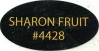 sharon fruit #4428