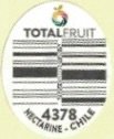 Total Fruit 4378 nectarine chile