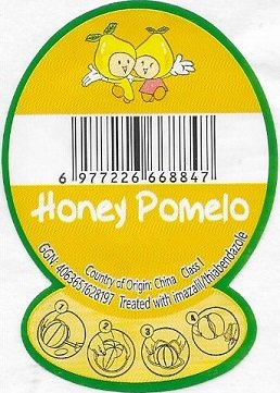 Honey pomelo 6977226668847ciuntry of origin china