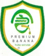 premium banana pure nature
