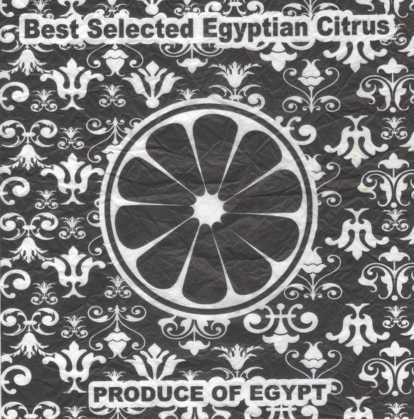 Best selected egyptian citrus produce of egypt