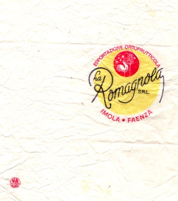 La romagnola s.r.l. esportazione ortofrutticola imola faenza