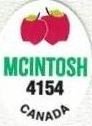 Mcintosh 4154 canada