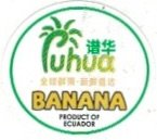Puhua banana productos of ecuador