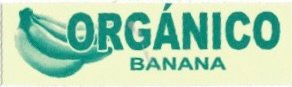 Organico banana