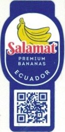 Salamat premium bananas ecuador