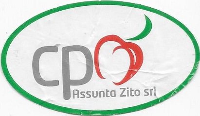 Cp assunta zito srl