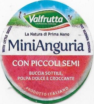 Valfrutta la natura di prima mano mini anguria prodotto italiano
