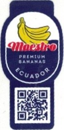 Maestro premium bananas ecuador