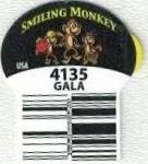 Smiling monkey 4135 gala