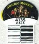 Smiling monkey usa 4135 gala