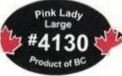 Pink lady large #4130 product of BV