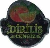 Dirilis cengiz