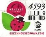 Windset farming 4593 canada greenhousgrown.com