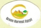 Green Harvest Egypt