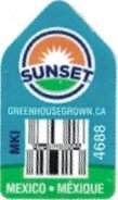Sunset greenhousegrown.ca mkj 4688 mexico mexique