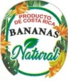 Natural producto de costa rica bananas