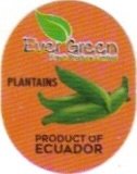 Ever Green fresh produce limited platains product of ecuador
